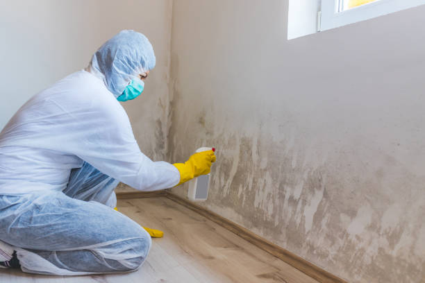 Commercial Mold Remediation assessment for commercial property in Prospect Heights
